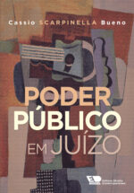 Poder Público em Juízo